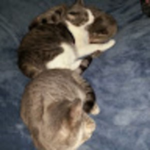 Meet your Posher, Miraelf1